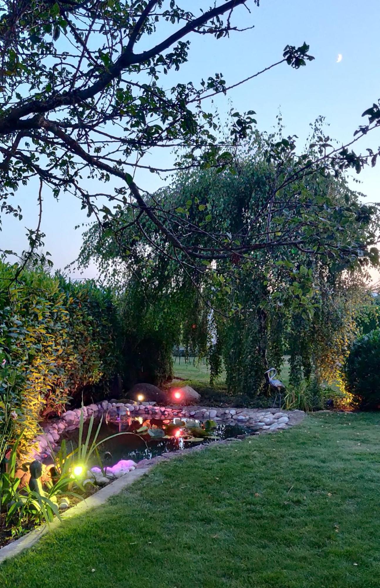 Hillside Homestay Near Luzern By Menbergs Harmony Homestay Hildisrieden Buitenkant foto